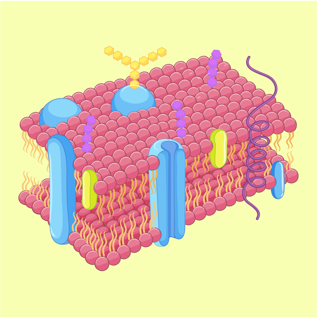 element 02